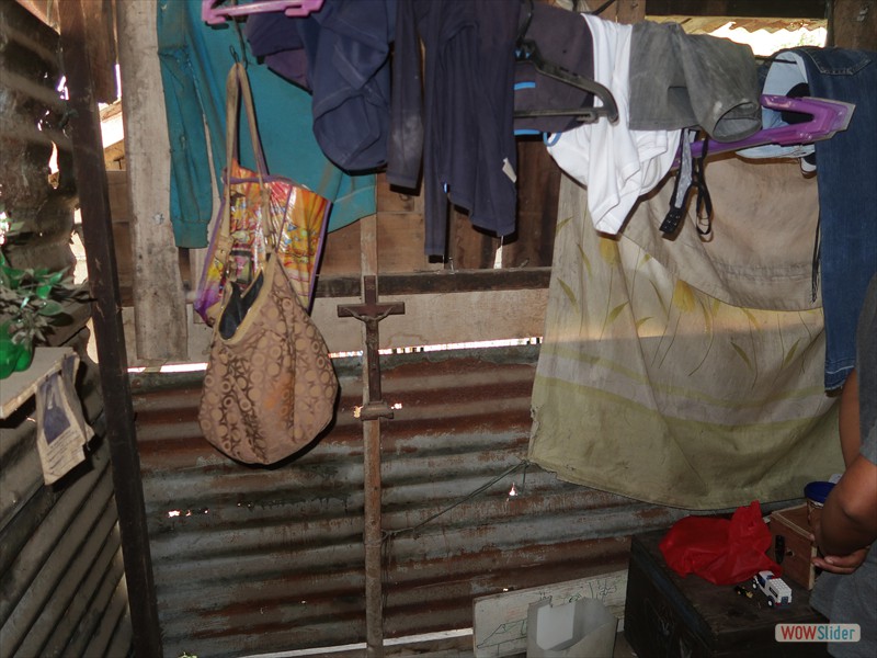 Household survey (4)