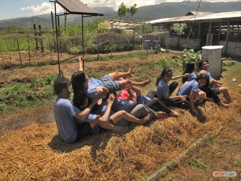 Summer camp (2)